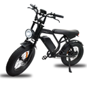 Fatbike V20 Pro